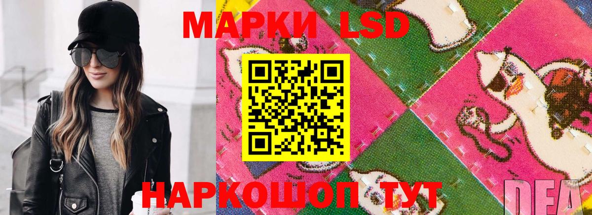 купить наркотик  Марки NBOMe 1,5мг  Вход с VPN  Гусев 
