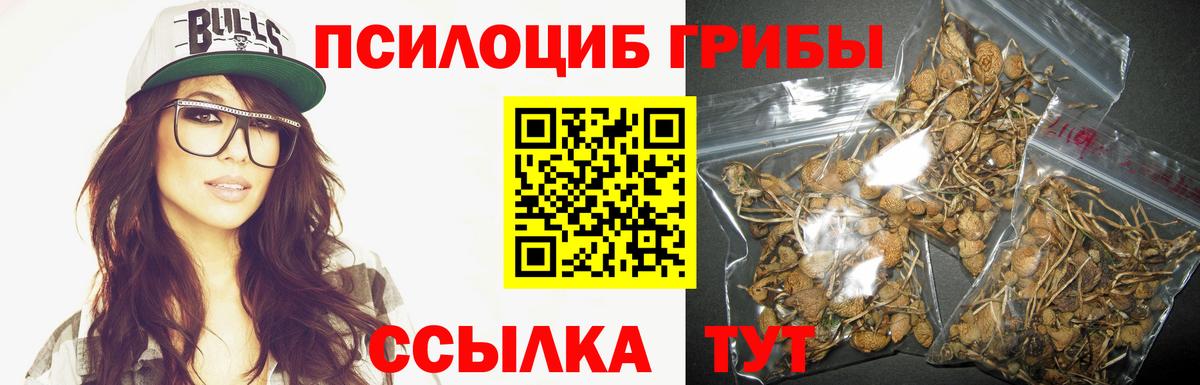 Гусев  Галлюциногенные грибы Cubensis  Вход с VPN 